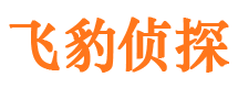 吉安市侦探调查公司